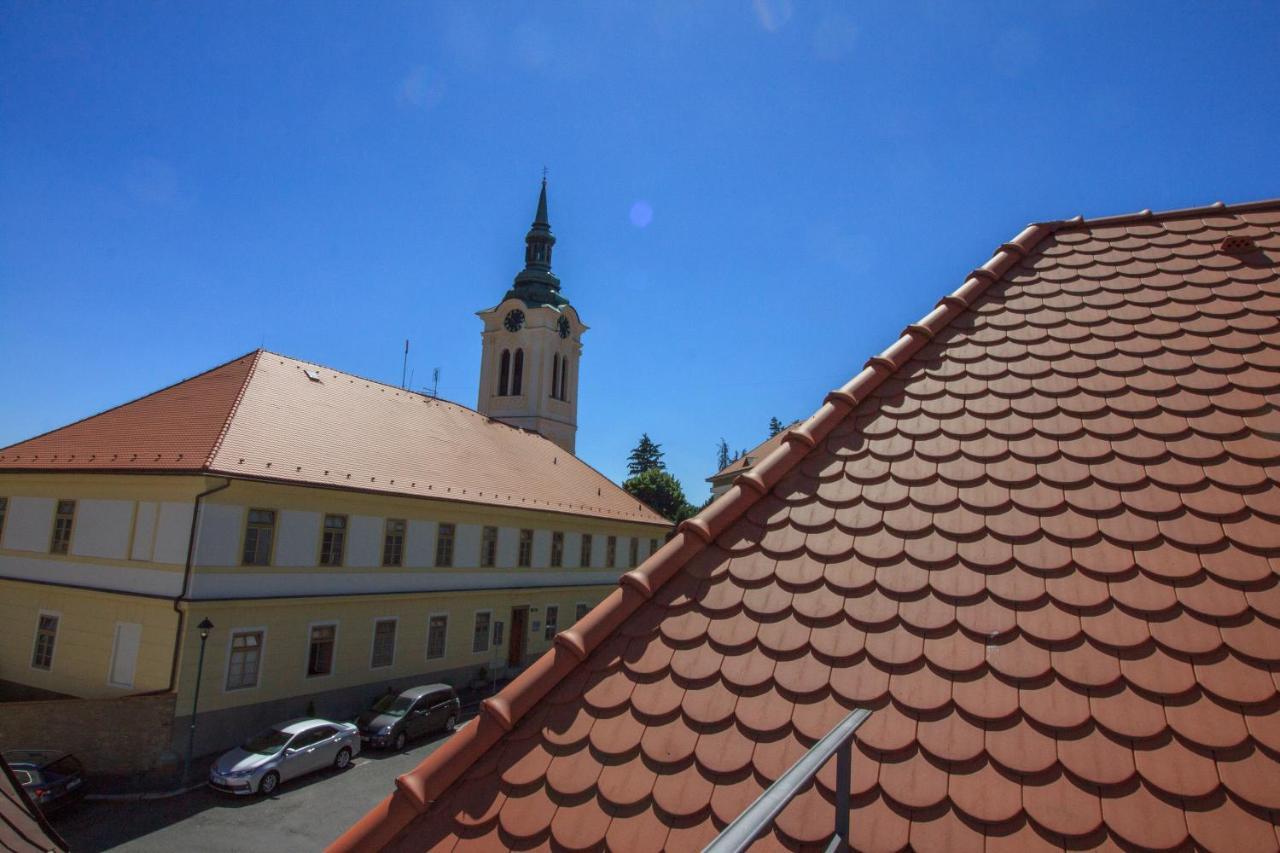 Villa Magdalena Kutna Hora Exterior photo